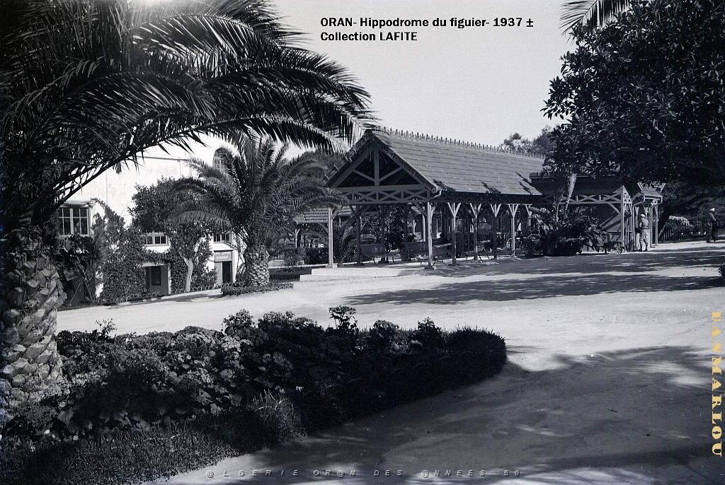 ORAN 1937 HYPPODROME DU FIGIER    (7).jpg
